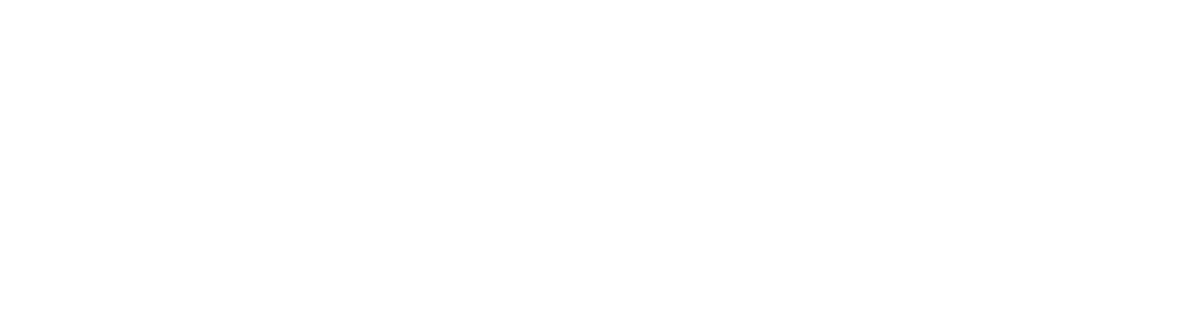 FlyEsim